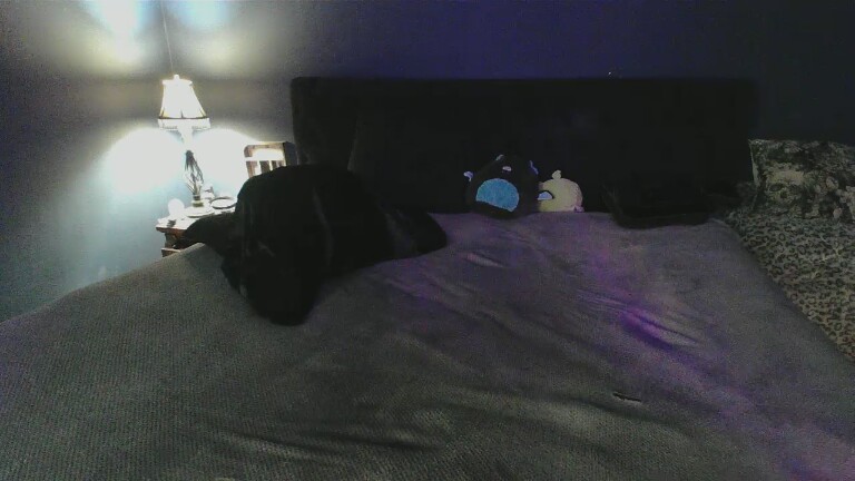 SerenaMonroe's Streamate show and profile