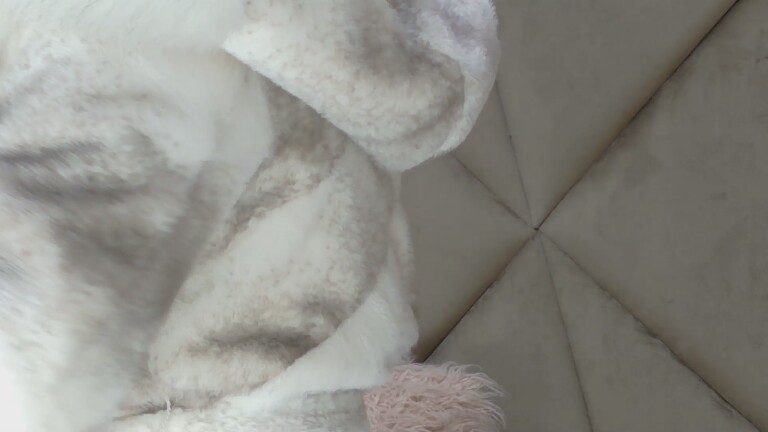 AlyssaSpicy's Streamate show and profile